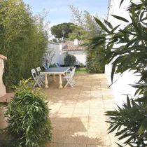 Annonce 315 - photo 8