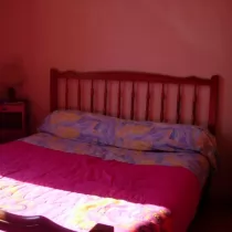 Annonce 85 - photo 3