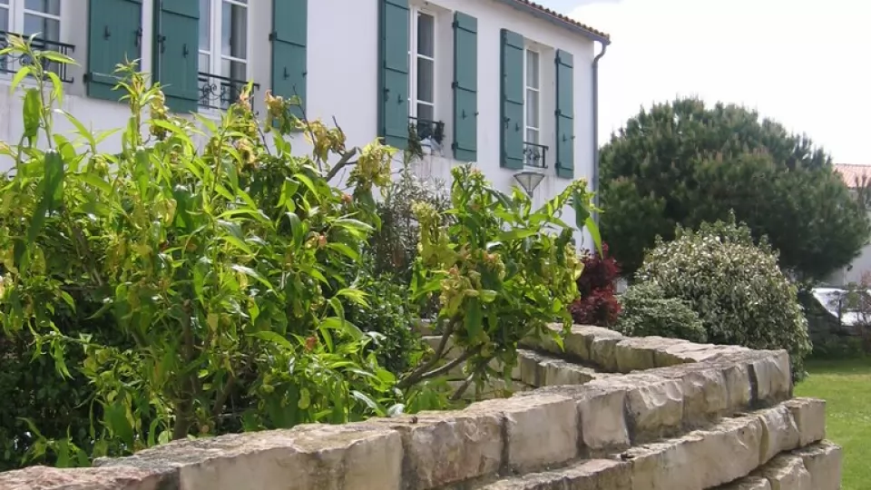 Maison 119 - photo 8