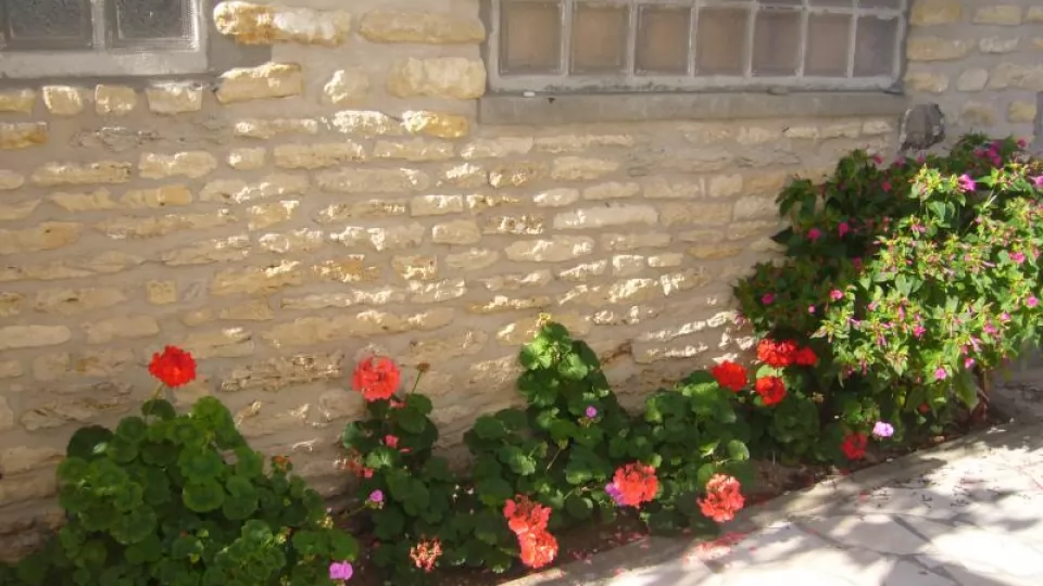 Maison 191 - photo 9