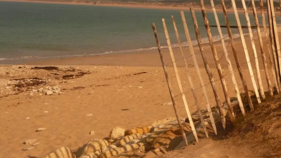 Maison 239 - photo 11