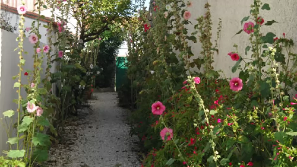 Maison 239 - photo 14