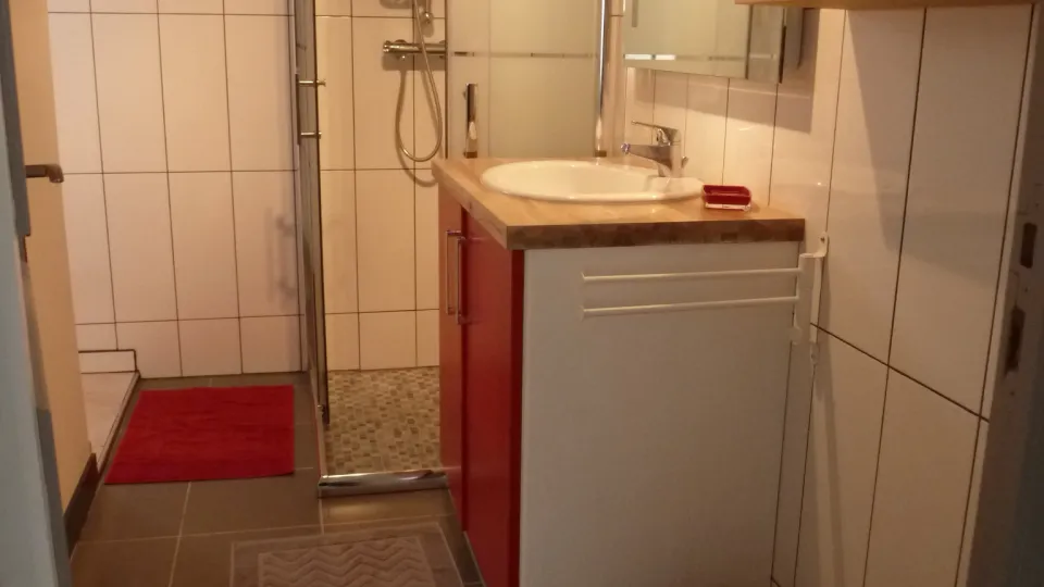 Maison 300 - photo 7